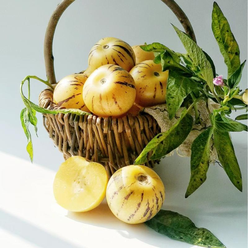 Premium Heirloom Sweet Pepino Melon Seeds for Planting - Non-GMO Exotic Fruit Seeds, Perfect for Home Gardens & Patios-LGZ