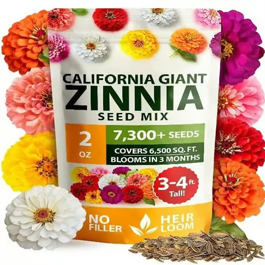š„Zinnia Seeds - Pure Seeds - No Filler -Heirloom Flower Seeds-ZBD