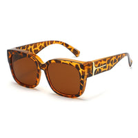 Tortoise Brown