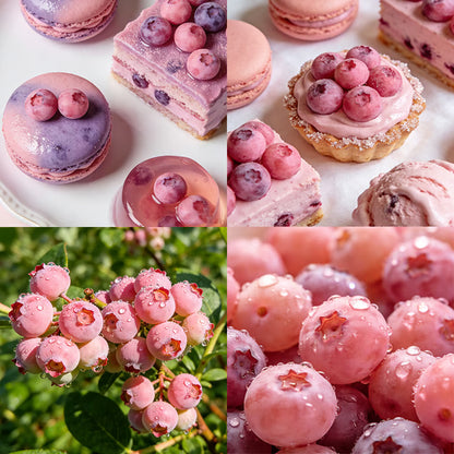 🔥50K+ SOLD!💟Premium Pink Blueberry Seeds -😋A Uniquely Delightful Taste-ZBD