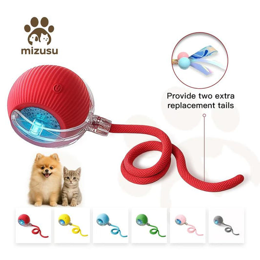 Interactive Moving Cat Toy Ball, Automatic Rolling Pet Toy with Tail, USB Rechargeable Smart Ball for Cats & Small Dogs-TTT
