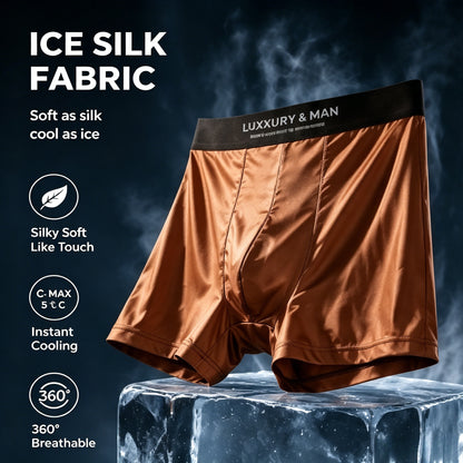 🛡️ Antibacterial Ice Silk Boxer Briefs | Odor-Control Quick-Dry Men's Underwear, Summer Must-Have-LT