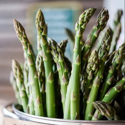 Premium Mary Washington Asparagus Seeds | Easy-to-Grow Heirloom Perennial Vegetable 🌱 LGZ