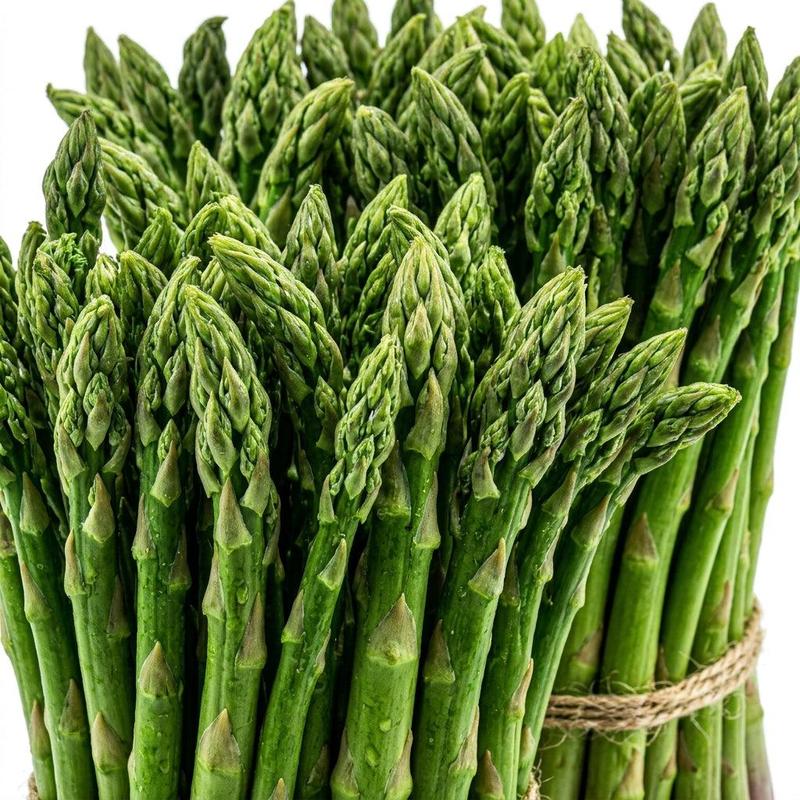 🌱 Mary Washington Asparagus Seeds | 💚Low Maintenance | ✅Plant Once, Harvest 20+ Years-AUX