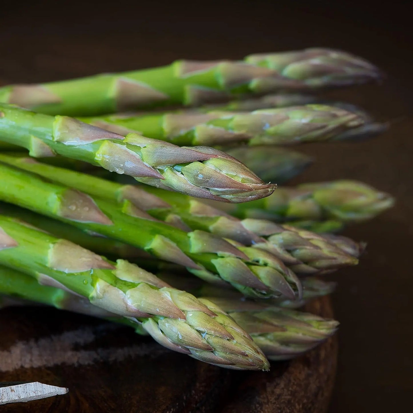 Premium Mary Washington Asparagus Seeds | Easy-to-Grow Heirloom Perennial Vegetable 🌱 LGZ