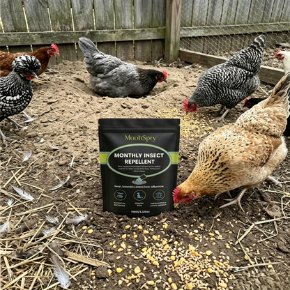 🚫Insect Repellent🚫 | Pet-Safe Natural Pest Control Powder for Home, Yard & Garden, Repels Ants, Ticks, Spiders & More-AUX