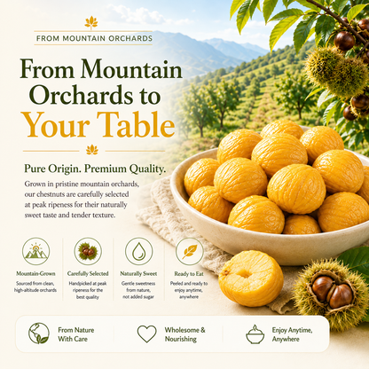 Nature’s Golden Chestnuts — A Heart-Conscious Snack Packed with Daily Nutrition-QZZ
