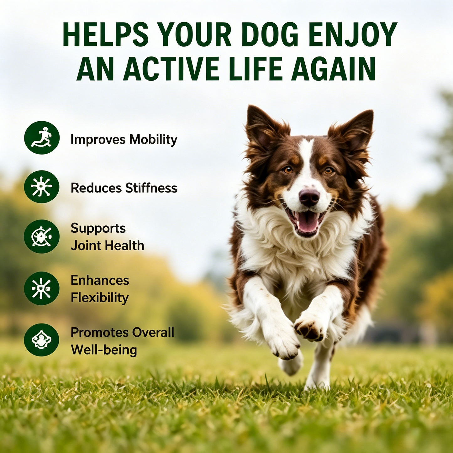 🐶 Advanced Strength Hip & Joint Chews | Pork Liver Flavor for Small & Medium Dogs-WBJ