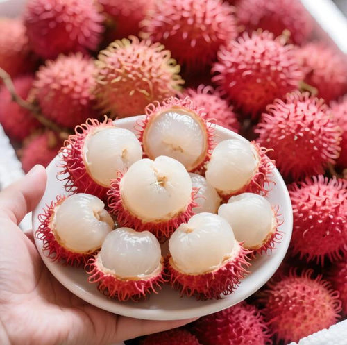 Rambutan Seeds – Rare Tropical Fruit Tree Seeds, Easy to Grow, Indoor & Outdoor Planting, All-Season Sowing, Ideal for Home Gardening.-KPL