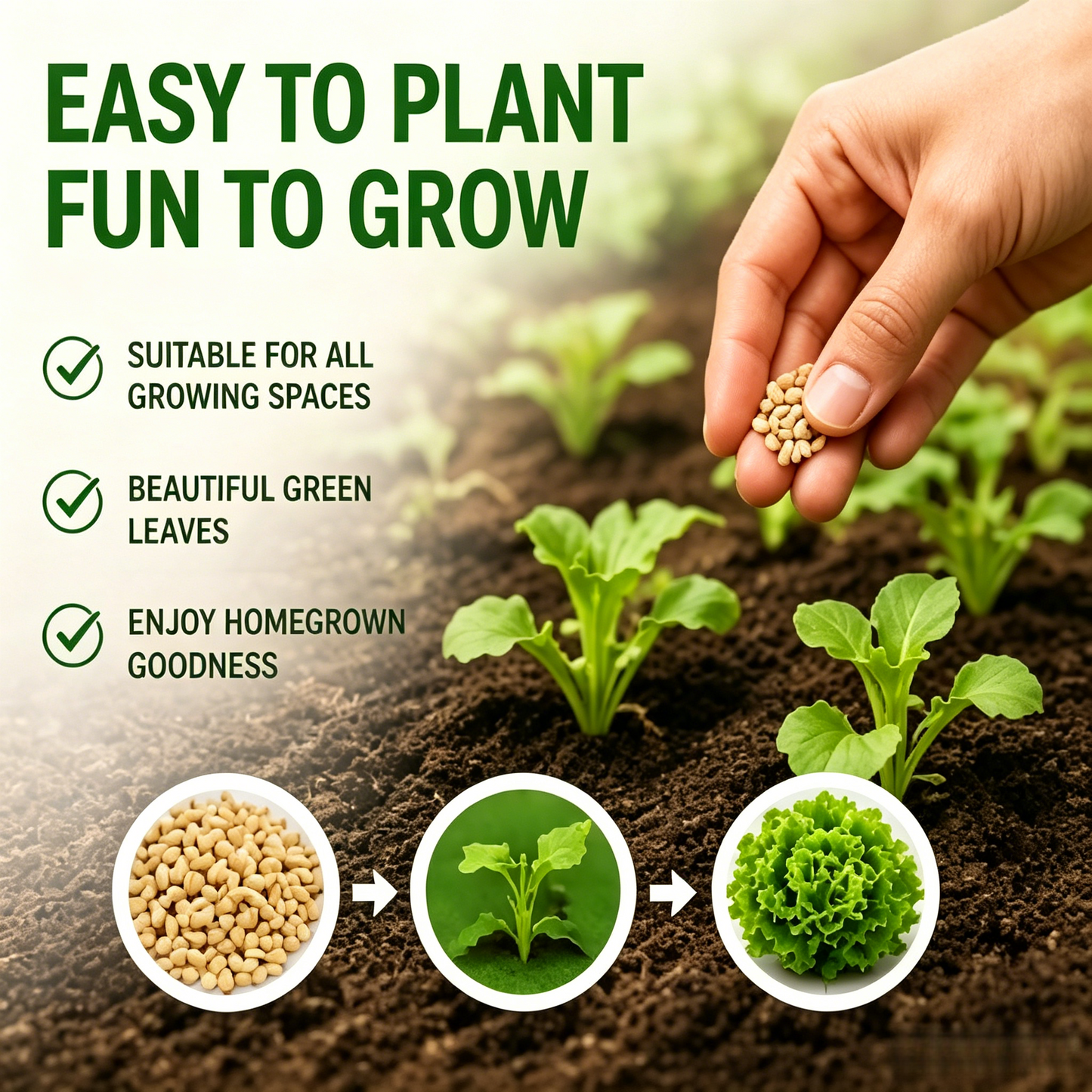 🥬 Large Salad Lettuce Seeds - Non-GMO, High Germination, Easy to Grow for Home Garden-LT
