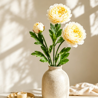Cream White