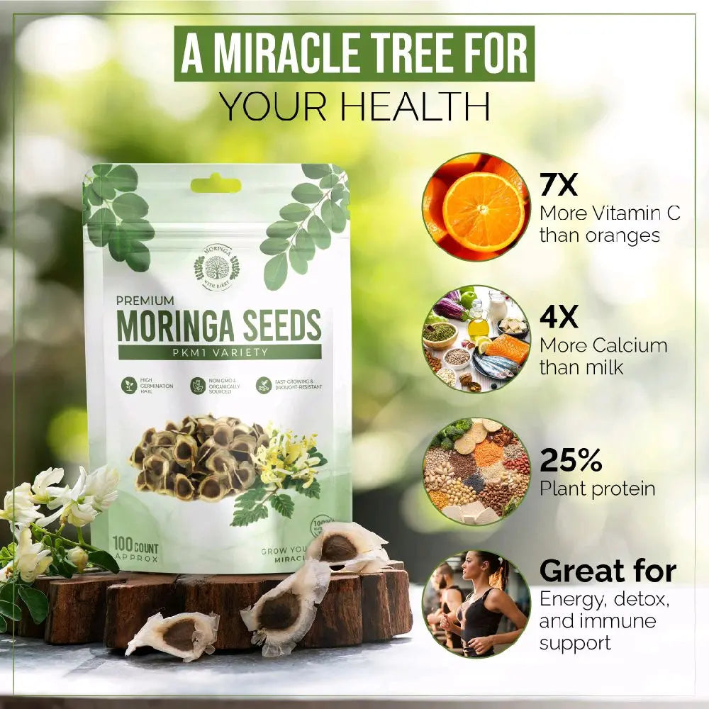 Moringa Seeds - Non-GMO, High Germination Rate, Organically Grown, Fast-Growing Superfood Tree - Approx. 50 Seeds - Suitable for Home Cultivation & Edible Use.-KPL