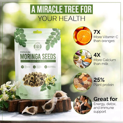Moringa Seeds - Non-GMO, High Germination Rate, Organically Grown, Fast-Growing Superfood Tree - Approx. 50 Seeds - Suitable for Home Cultivation & Edible Use.-KPL