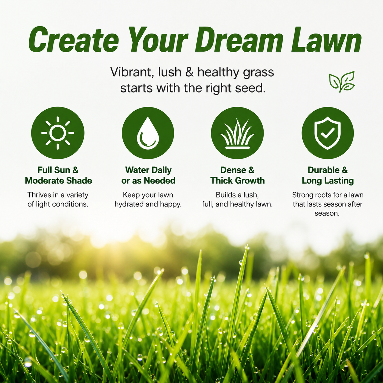 Grass seeds and shade-tolerant grass seeds, fast growing, suitable for all seasons, ideal for high-quality lawns and golf courses.-KPL