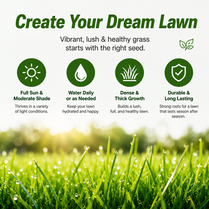 Grass seeds and shade-tolerant grass seeds, fast growing, suitable for all seasons, ideal for high-quality lawns and golf courses.-KPL