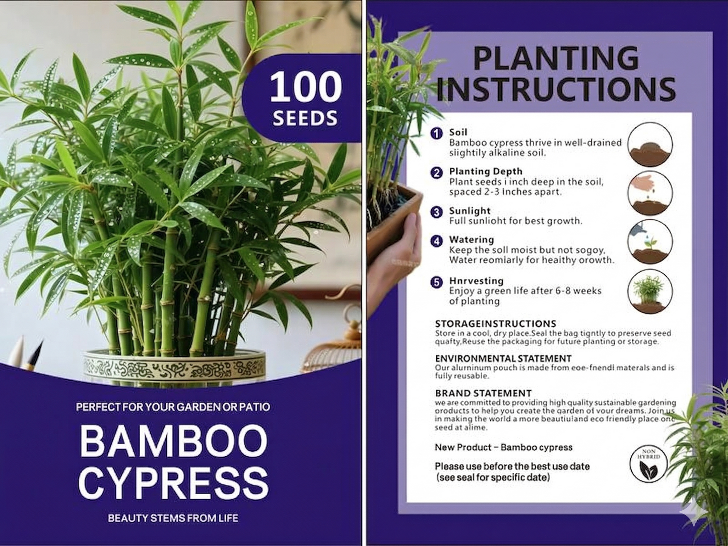 Lucky Bamboo Cypress Seeds - Grow Live Indoor Houseplants for Home & Office Decor, Easy Care Low Light Plants, Feng Shui Good Luck Plant🌱-LGZ