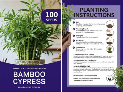 Lucky Bamboo Cypress Seeds - Grow Live Indoor Houseplants for Home & Office Decor, Easy Care Low Light Plants, Feng Shui Good Luck Plant🌱-LGZ