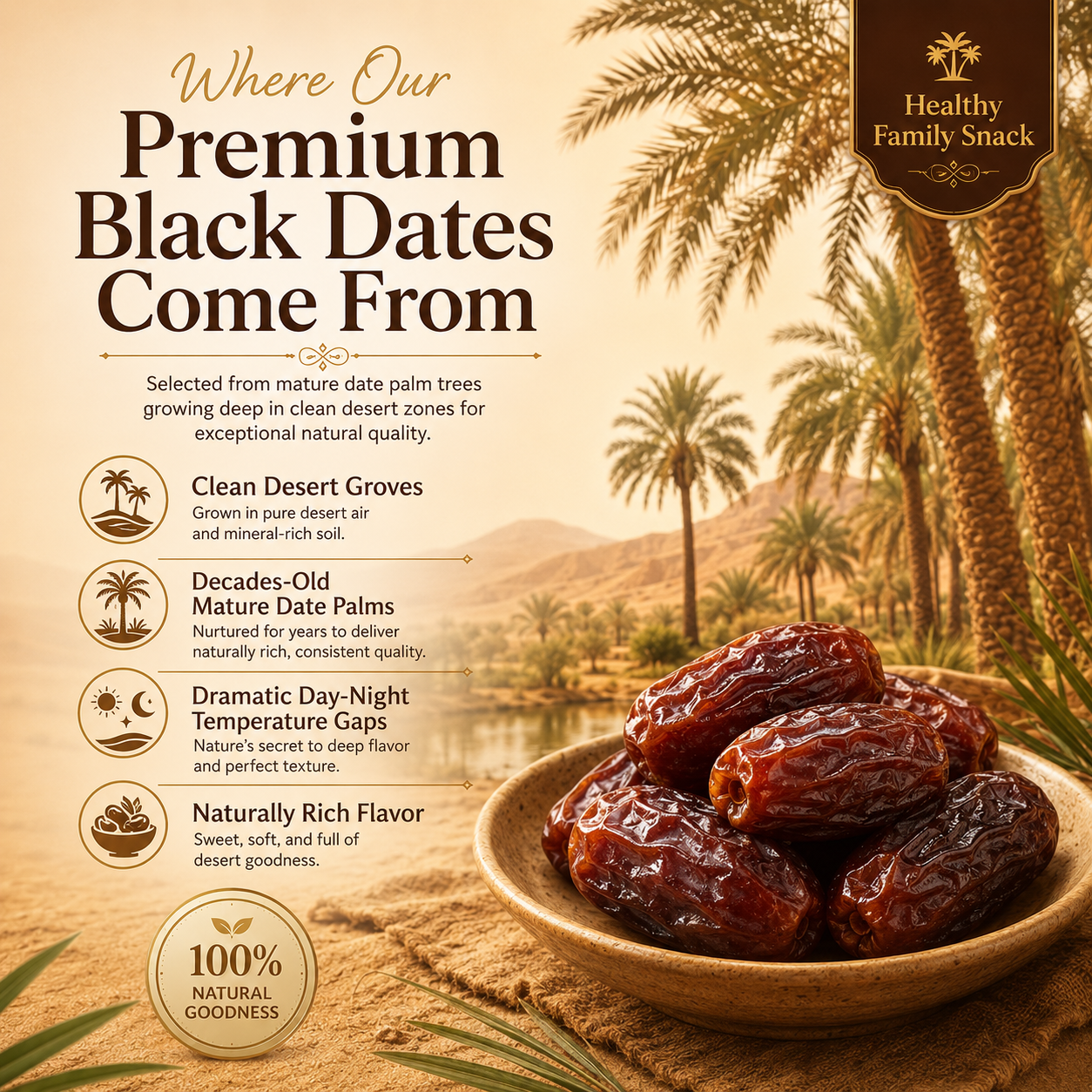 🏜️ Sugar-Free Creamy Black Desert Dates-WBJ