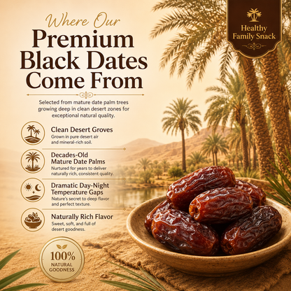 🏜️ Sugar-Free Creamy Black Desert Dates-WBJ