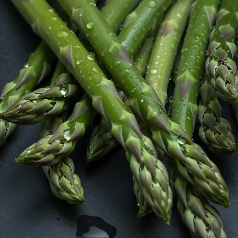 Asparagus Seeds for Planting, Non-GMO Heirloom Vegetable Seeds, Perennial and Easy to Grow, Ideal for Home Garden Growing-JY