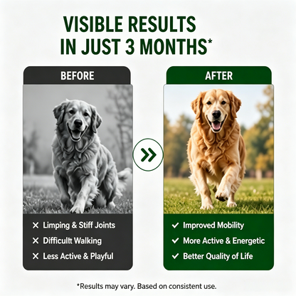 🐶 Advanced Strength Hip & Joint Chews | Pork Liver Flavor for Small & Medium Dogs-WBJ