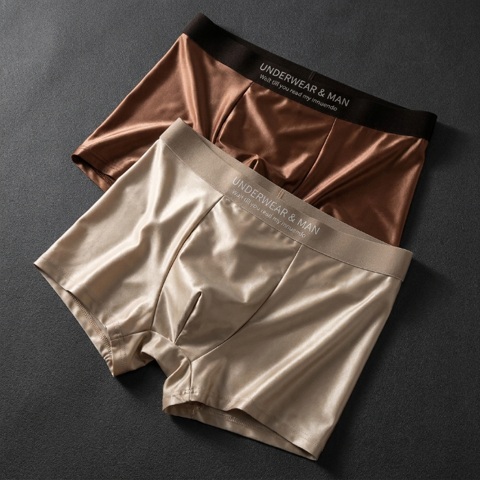 Men's Seamless Ice Silk Boxer Briefs | 10A Grade Antibacterial Mulberry Silk Crotch | Ultra-Smooth Cooling Underwear ❄️ Silk Feel-QZZ