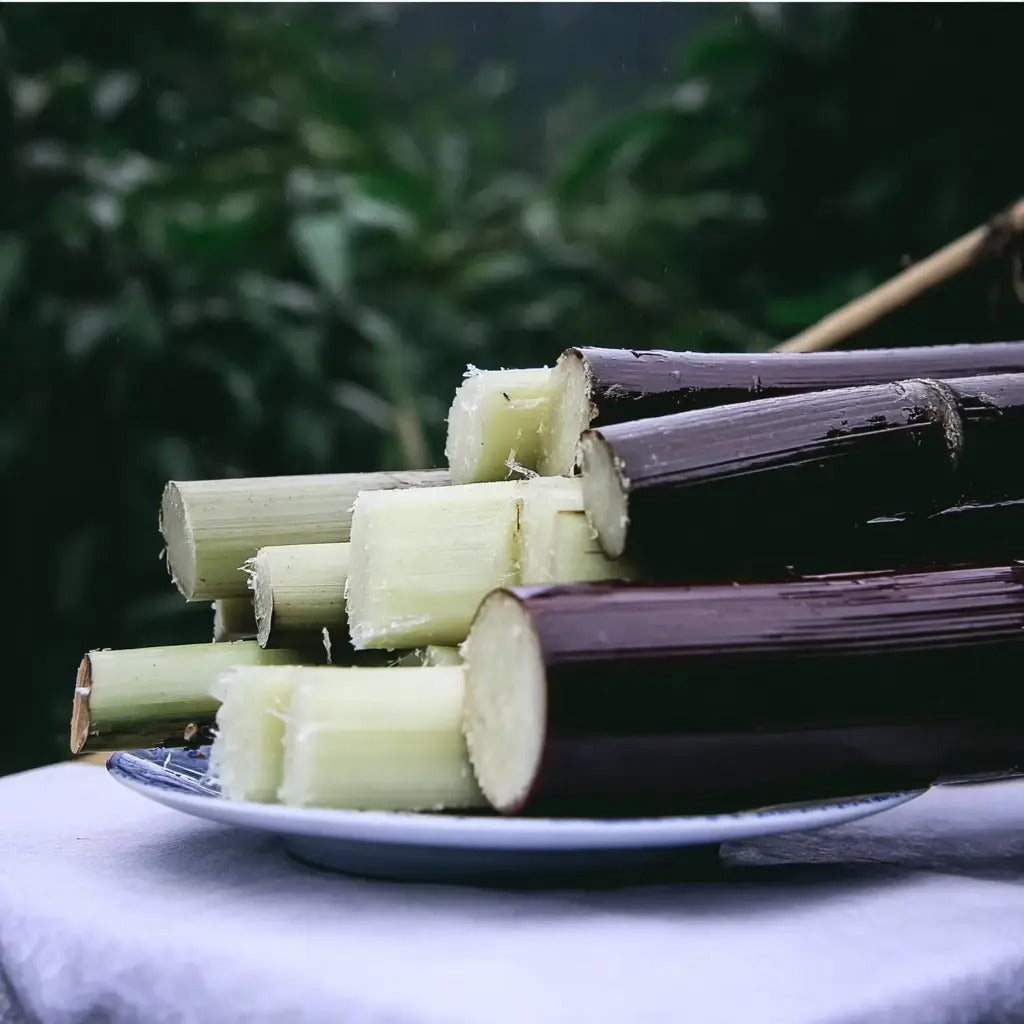Premium High-Sucrose Sugarcane Seeds | 1000+ Non-GMO Hybrid Sugar Cane Seeds for Home Gardening 🌿🍬 LGZ