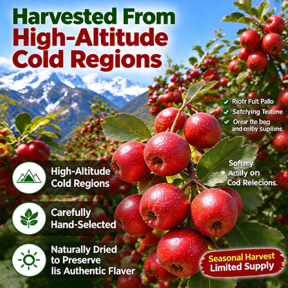 100% Natural • Zero Additives • Pitted Hollow Hawthorn-ZRT