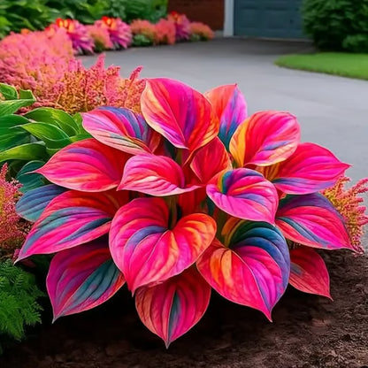 💥LAST DAY SALE 50%OFF💥🌿Premium Rare Hosta Seeds-ZBD
