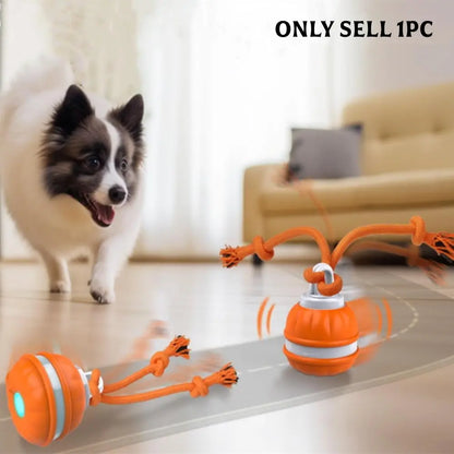 Stop Pet Boredom Instantly! The Ultimate Smart Companion for Your Furry Friend 🐾-DZT