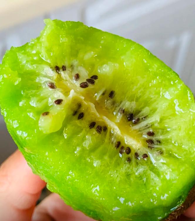 500 Kiwi Fruit Seeds – Year-Round Planting, Non-GMO, Easy to Grow, Sweet & Tangy Flavor, High Yield, Ideal for Home Gardens & Containers.-KPL
