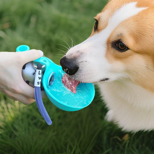 🐶Portable Dog Water Bottle - 2-in-1 Stainless Steel Travel Water Bowl for Dogs-CJP