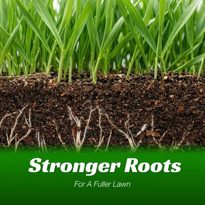 Grass Seed and Shade Grass, Grows quickly and withstands all seasons, perfect for high-quality turf and golf courses, High Germination Grass Seeds Grown in USA-LGZ