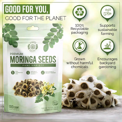 Moringa Seeds - Non-GMO, High Germination Rate, Organically Grown, Fast-Growing Superfood Tree - Approx. 50 Seeds - Suitable for Home Cultivation & Edible Use.-KPL