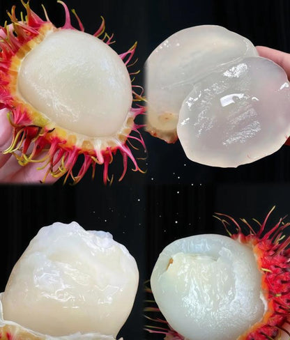 Rambutan Seeds – Rare Tropical Fruit Tree Seeds, Easy to Grow, Indoor & Outdoor Planting, All-Season Sowing, Ideal for Home Gardening.-KPL