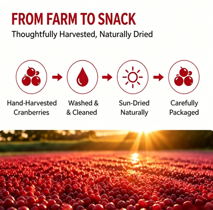 🌿 Dried Cranberries 🍒 – A Tasty Fruit Snack Packed with Natural Goodness.-KPL