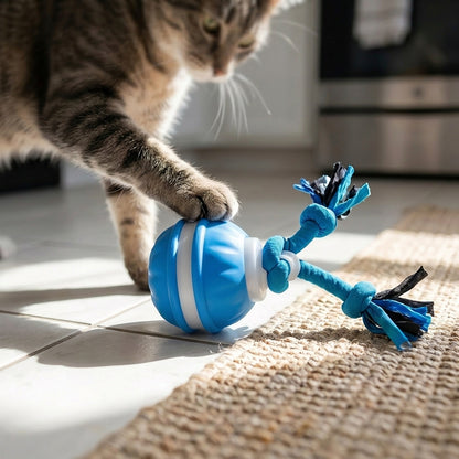 Stop Pet Boredom Instantly! The Ultimate Smart Companion for Your Furry Friend 🐾-DZT
