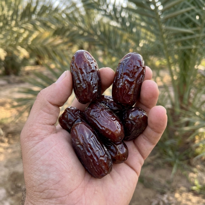 🌴 Premium Black Ajwa Dates | Natural Energy & Heart Healthy Snack,Supports Healthy Blood Sugar & Detox-VIM