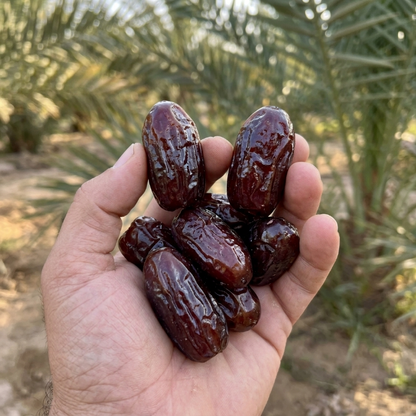 🌴 Premium Black Ajwa Dates | Natural Energy & Heart Healthy Snack,Supports Healthy Blood Sugar & Detox-VIM