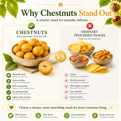 Nature’s Golden Chestnuts — A Heart-Conscious Snack Packed with Daily Nutrition-QZZ