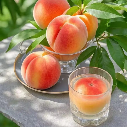 【Verdant.Vitality】Premium Peach  | Grow Your Own Indoor/Outdoor Fruit Tree 🍑🌿 -LGZ
