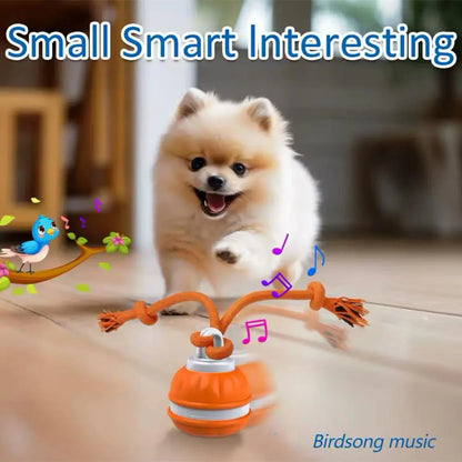 Stop Pet Boredom Instantly! The Ultimate Smart Companion for Your Furry Friend 🐾-DZT