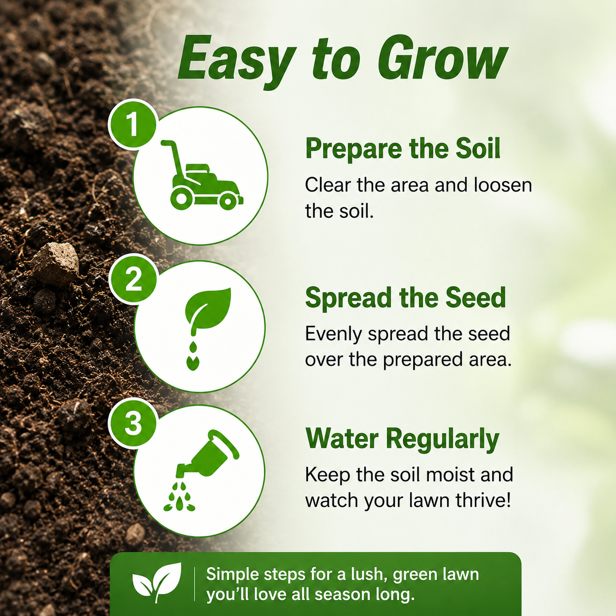Grass seeds and shade-tolerant grass seeds, fast growing, suitable for all seasons, ideal for high-quality lawns and golf courses.-KPL