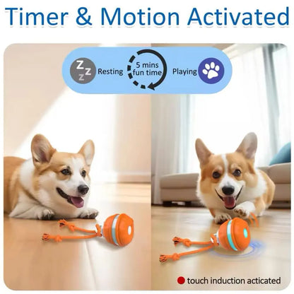 Stop Pet Boredom Instantly! The Ultimate Smart Companion for Your Furry Friend 🐾-DZT