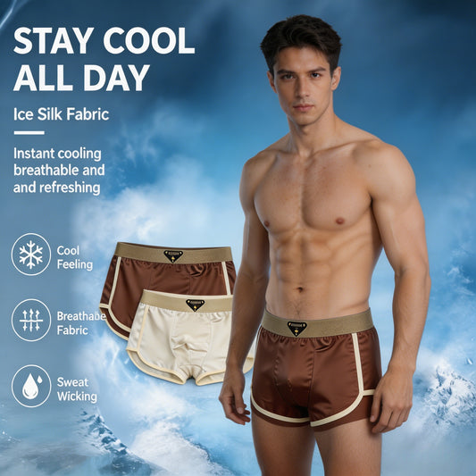 🛡️ 10A grade antibacterial satin light luxury high-end ice silk men's boxer briefs summer ultra-thin comfortable breathable shorts-CJP