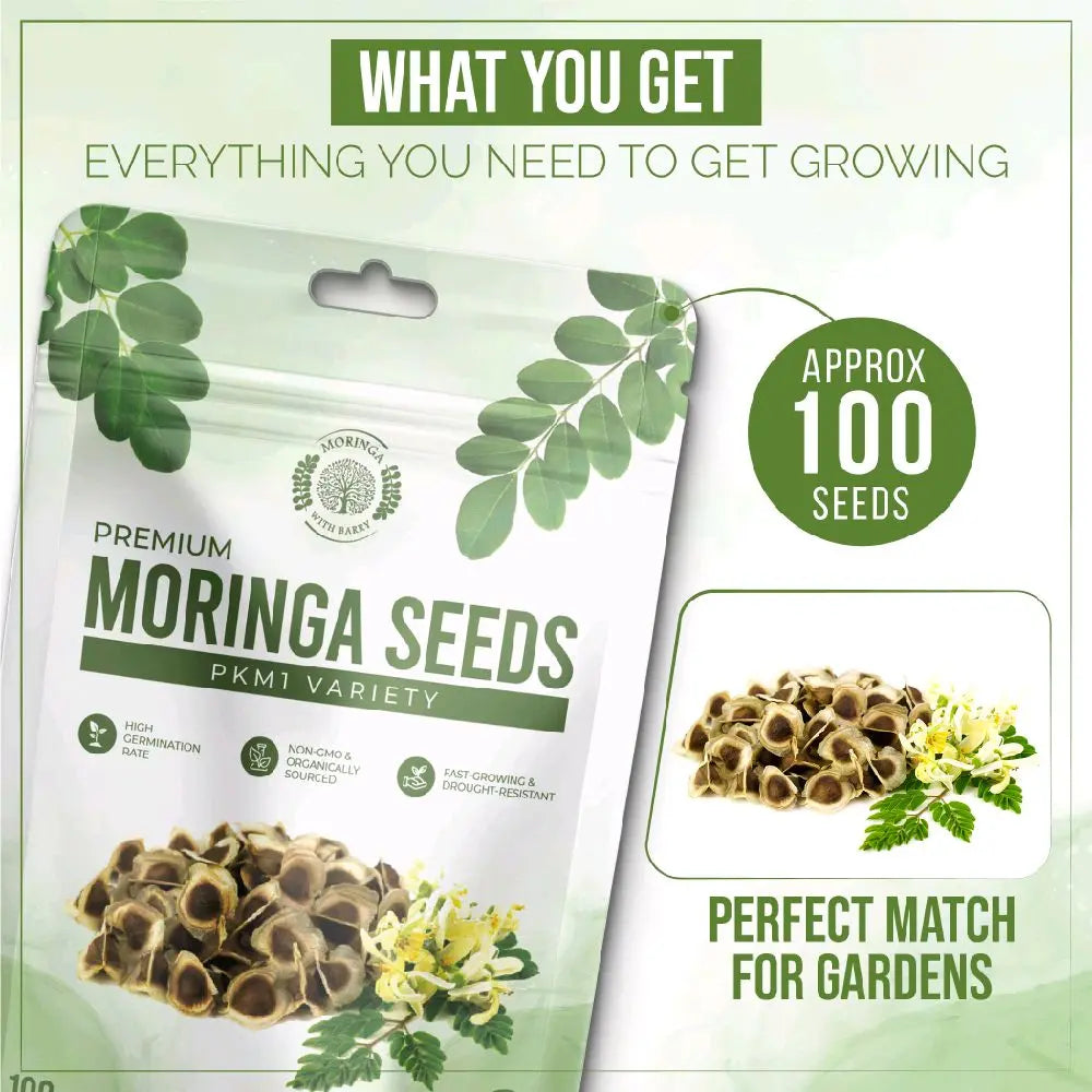 Moringa Seeds - Non-GMO, High Germination Rate, Organically Grown, Fast-Growing Superfood Tree - Approx. 50 Seeds - Suitable for Home Cultivation & Edible Use.-KPL