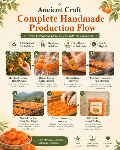 🍑Ancient 3-Steam 3-Dry Golden Apricots | Healthy Family Snack-WBJ