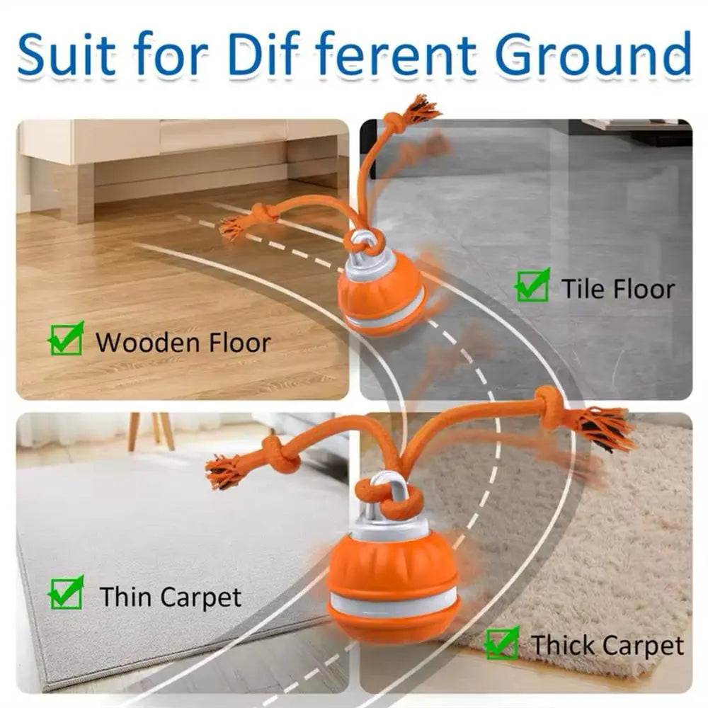 Stop Pet Boredom Instantly! The Ultimate Smart Companion for Your Furry Friend 🐾-DZT