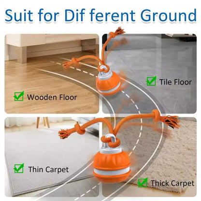 Stop Pet Boredom Instantly! The Ultimate Smart Companion for Your Furry Friend 🐾-DZT