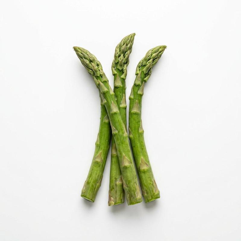 🌱 Mary Washington Asparagus Seeds | 💚Low Maintenance | ✅Plant Once, Harvest 20+ Years-AUX
